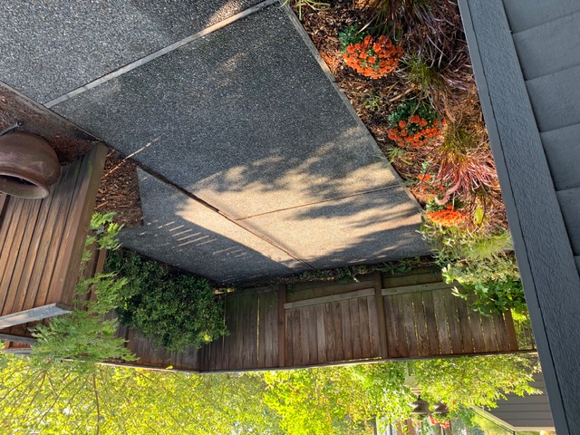 Fenced front patio with mature plantings