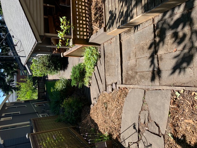Stone steps and planting beds along the side yard