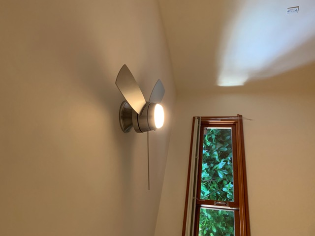 Primary bedroom with ceiling fan and privacy hedge